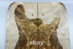 5A Bookmatch Bird's-eye Golden Camphor Wood Burl LUTHIER MASTER GUITAR TOP SET