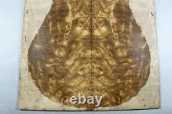 5A Bookmatch Bird's-eye Golden Camphor Wood Burl LUTHIER MASTER GUITAR TOP SET