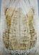 5a Elegant Ripple Spalted Maple Wood Bookmatch Guitar Top Set Luthier Supply