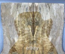5A Figure Acoustic Guitar Top Spalted Bird's eye Maple Wood Set Luthier Supply