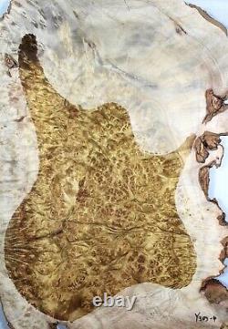 5A Grade Les Paul Guitar Fat Top Bird's eye Golden Camphor Wood Burl Set Luthier