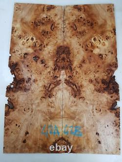 5A Grade Poplar Burl Guitar Top Book Matched Set Luthier Wood Supply No42