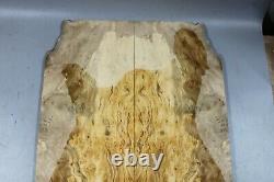 7557 Spotted bird's eye maple Wood les paul Guitar Drop Top Set Luthier Master