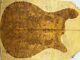 8235 5a Bird's Eye Golden Phoebe Wood Burl Les Paul Guitar Drop Top Set Luthier