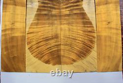 Acoustic Guitar Top/Back&Sides AAAAA Flame Golden Phoebe Wood Set Luthier Supply