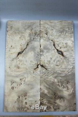 Birds-eye Barky Golden Camphor Wood Burl LUTHIER MASTER GUITAR TOP SET