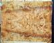 Birdseye Maple Burl Wood Luthier Lumber 0145 Book Matched Set 24 X 18.5 X. 625