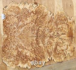 Birdseye Maple Burl Wood Lumber 0784 Book matched set 24 x 21 x. 375