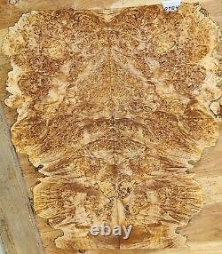 Birdseye Maple Burl Wood Lumber 0784 Book matched set 24 x 21 x. 375