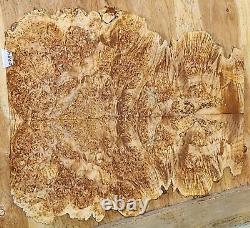 Birdseye Maple Burl Wood Lumber 0784 Book matched set 24 x 21 x. 375