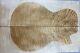 D82-6 5a Elegant Ripple Maple Wood Bookmatch Electric Bass Drop Top Set Luthier