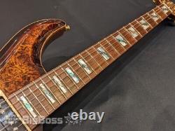 ESP AMOROUS-CTM NT Burled Maple #GG13e