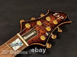 ESP AMOROUS-CTM NT Burled Maple #GG13e