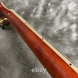 Eastman AR-580CE/Honey Burst #GG8dv