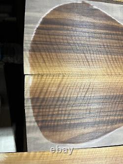 Fiddleback figured walnut tonewood guitar luthier set back sides AAAA