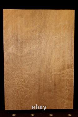 Figured genuine mahogany guitar back and side billets. Enough for 20 sets