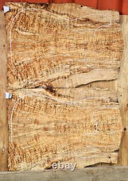 Flame Spalted Maple Wood 0923&24 Twin 5A Electric Guitar sets FRONT & BACK