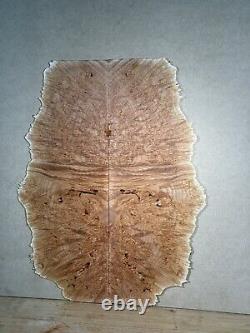 MAPLE BURL Luthier wood Guitar Top Bass Wood Lumber Materials