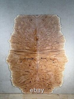 MAPLE BURL Luthier wood Guitar Top Bass Wood Lumber Materials