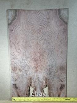 Redwood Lace Burl Book Matched Guitar Top Figured Wood Luthier Instrument