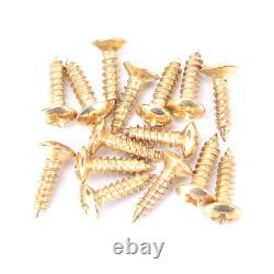 Replacement Pickguard Mounting Screw Set Electric Guitar Bass