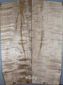 Ripple Spalted Maple Wood les paul Guitar Bookmatch Drop Top Set Luthier 4622