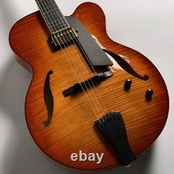 Sadowsky Archtop Series Jim Hall Model (Violin Burst) #GG7kl