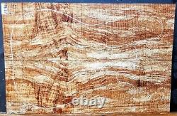 Spalted Curly Maple Instrument wood 12126 Luthier Solid Body Guitar top set