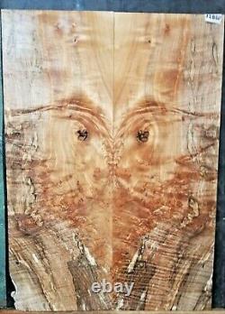 Spalted Maple Instrument Wood 12860 Luthier Guitar Top Set 24x 17x. 4375