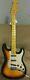 Spectrum Strat Style Electric Guitar. Ln. Still Has Tags. Set Up / Intonated
