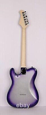 Tease Guitars SBH-E Series Royal' Pro Set Up Tele