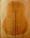 Veryold Ky Beautiful Curly Hard Maple Tonewood Guitar Luthier Set Back And Sides