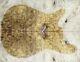 Y335-1 Aaaaa Barky Golden Camphor Wood Burl Les Paul Guitar Drop Top Set Luthier