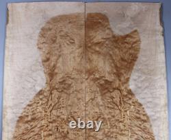 5a Figure Basse Électrique Top Curly-quilted-spalted Maple Wood Set Luthier Supply