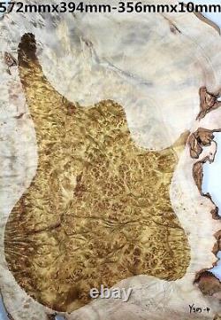 5a Grade Les Paul Guitar Fat Top Oeillet D'oiseau Golden Camphor Wood Burl Set Luthier