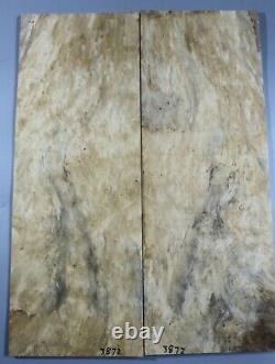 5a Guitare Électrique Top Birdseye Spalted Maple Bookmatch Wood Set Luthier Supply