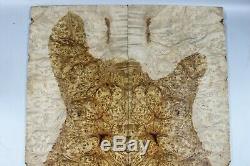 Aaaaa D'or Camphor Bois Burl Bookmatch Guitare Set Top Luthier Supply
