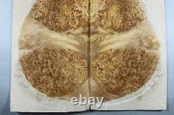 Aaaaa Honeycomb Birds-eye Maple Wood Burl Les Paul Guitar Top Set Luthier Supply