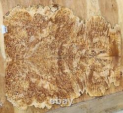 Bois d'érable Birdseye Burl 0784 Lumber assorti en livre, ensemble de 24 x 21 x 0,375