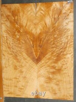 Flame Figured Maple Wood 9536 Luthier 5a Fire Bird Guitar Top Set 24 X 18 X. 500