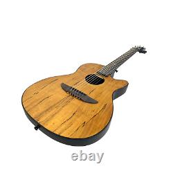 Guitare acoustique/classique Haze, placage d'érable moucheté, dos rond, HSDP836CGC