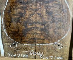 Guitare en bois d'ipe avec figurine de carapace de tortue tragique, luthier, uniquement le dos