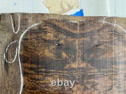 Guitare en bois d'ipe avec figurine de carapace de tortue tragique, luthier, uniquement le dos